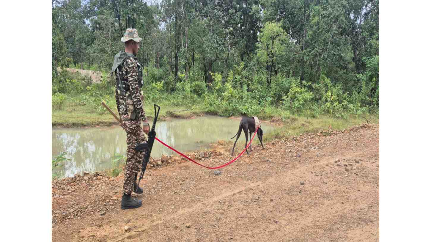 छत्तीसगढ़ के बीजापुर में सुरक्षा बलों के साथ जारी अभियान में छह माओवादी मारे गए