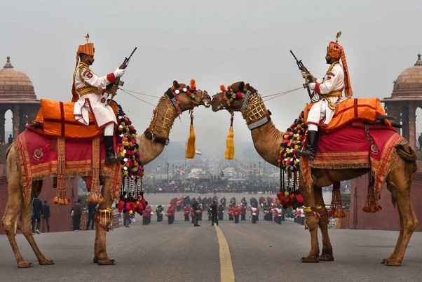 दिल्ली में बीटिंग रिट्रीट समारोह के लिए फुल ड्रेस रिहर्सल के दौरान सीमा सुरक्षा बल (बीएसएफ) के ऊंटों का अद्भुत नजारा