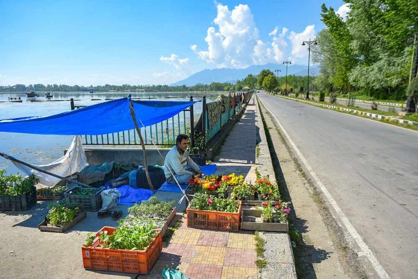 कोरोना वायरस के कारण लगाए गए लॉकडाउन के बीच श्रीनगर में एक सड़क के किनारे बैठकर ग्राहकों की प्रतीक्षा करता फूल विक्रेता