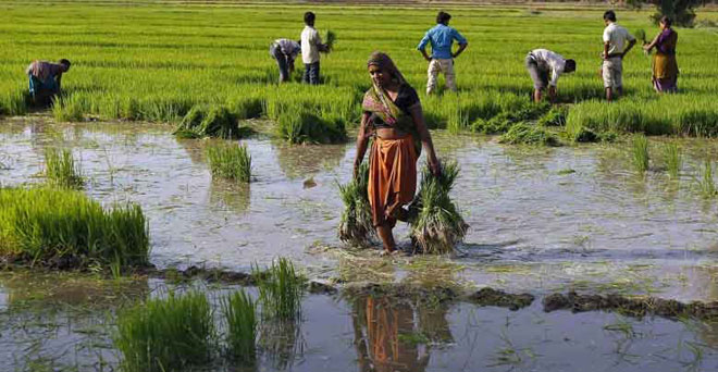 राहत: इस वर्ष खूब बरसेंगे बदरा