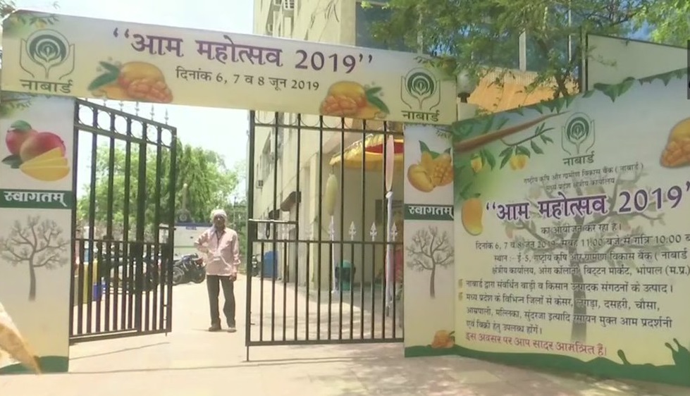 मध्य प्रदेश में नेशनल बैंक फॉर एग्रीकल्चर एंड रूरल डेवलपमेंट (NABARD) द्वारा आयोजित 'आम महोत्सव' की एक झलक