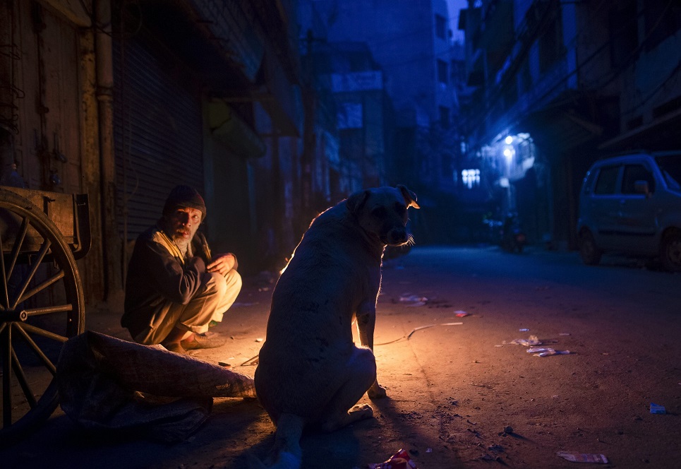 ठंड में अलाव की गर्माहट, क्या इंसान और क्या जानवर: पुरानी दिल्ली के चांदनी चौक का नजारा