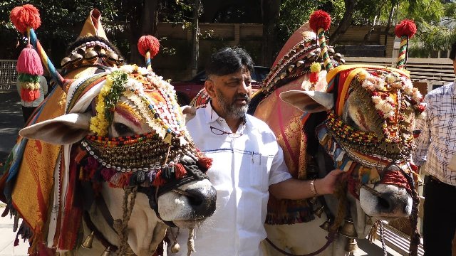 मकर संक्रांति के अवसर पर बेंगलुरु में अपने आवास पर कांग्रेस नेता डीके शिवकुमार