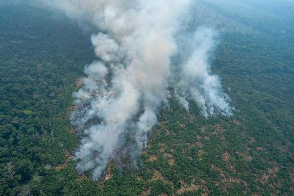 ब्राजील के पोर्टो वेलहो के पास एक क्षेत्र में लगी आग