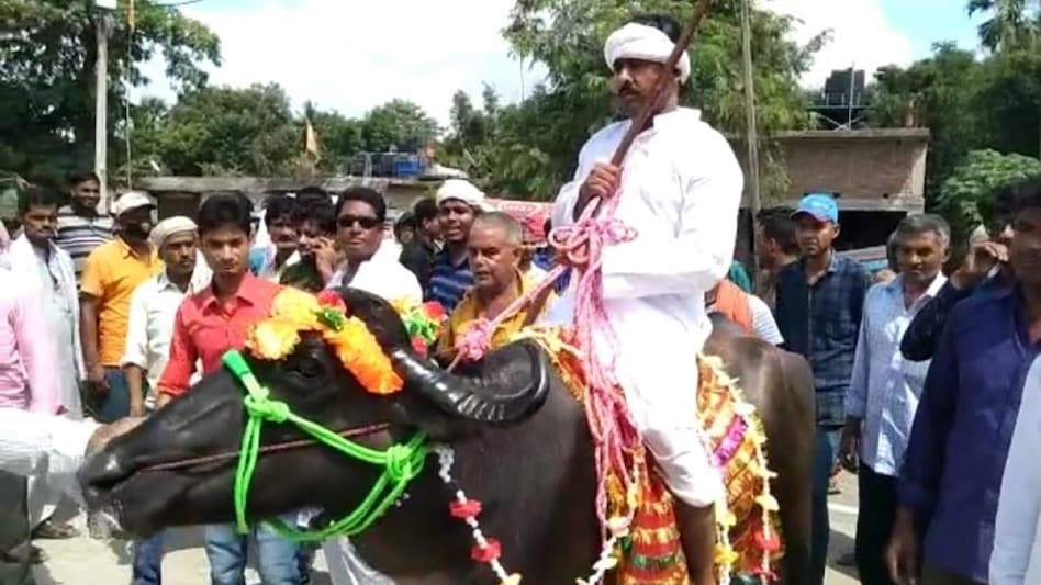 भैंस पर सवार होकर अपना नामांकन दाखिल करने पहुंचे कटिहार ज़िले के रामपुर पंचायत चुनाव के प्रत्याशी आज़ाद आलम