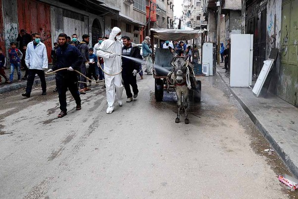गाजा सिटी में कोरोना वायरस के खिलाफ एहतियात के तौर पर गधा गाड़ी पर कीटाणुनाशक का छिड़काव करता कार्यकर्ता