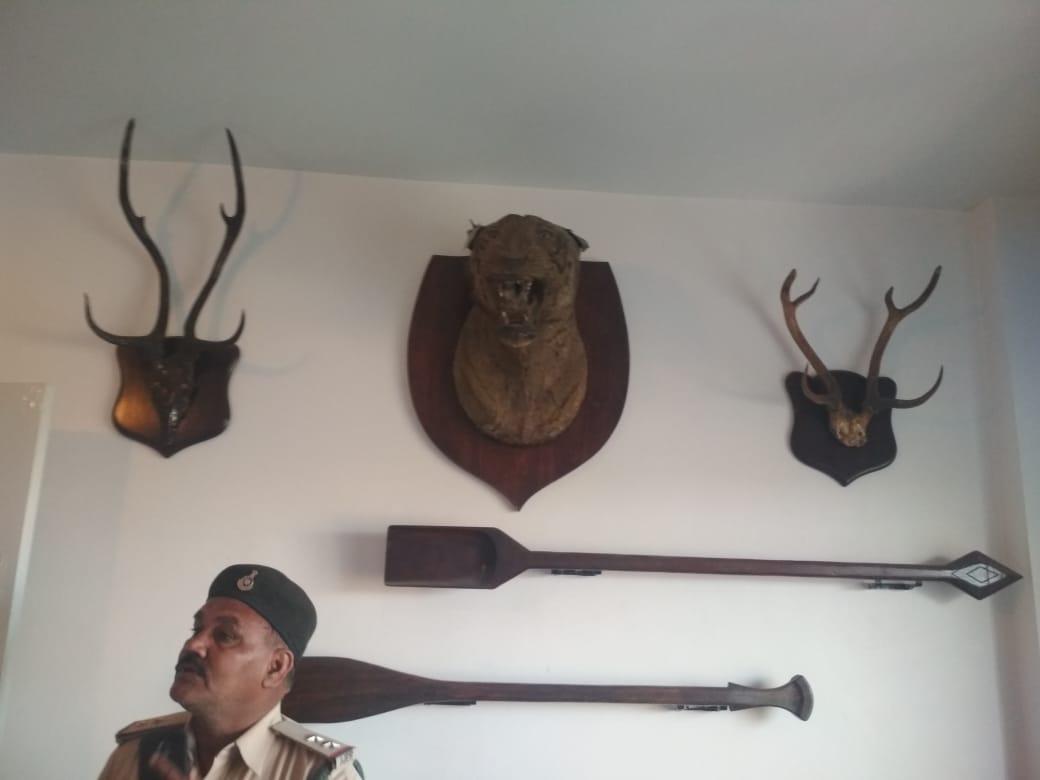 आयकर छापे के दौरान प्रवीण कक्कड़ (मध्य प्रदेश सीएम के ओएसडी) के सहयोगी अश्विन शर्मा के आवास से काला हिरण, बाघ, हिरण, तेंदुए आदि की ट्राफियां बरामद की गई हैं।