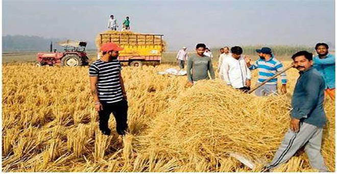 पंजाब के किसानों ने राज्य सरकार से पराली के उचित समाधान की मांग की