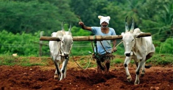 पश्चिम बंगाल : किसानों को सस्ती दर पर 7,000 करोड़ का कर्ज देगी सरकार