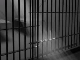 हरियाणा पुलिस ने पकड़े  105 मोस्ट वांटेड अपराधी, नशे पर भी नकेल