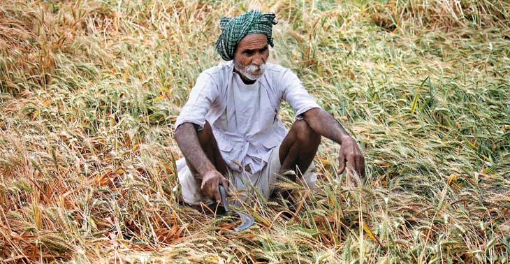 नष्ट फसल, विनष्ट किसान