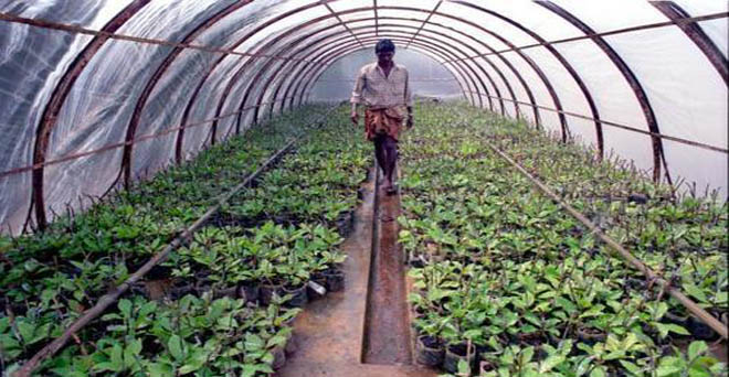 जैविक खेती करने वाले किसानों को मिलेंगे 6,000 रुपये-सुशील मोदी