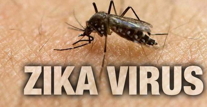 सिंगापुर के परीक्षण में 13 भारतीय जीका वायरस से संक्रमित पाए गए