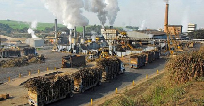 चीनी मिलों पर गन्ना किसानों का 22,000 करोड़ बकाया, चालू पेराई सीजन में 48 लाख टन के निर्यात सौदे