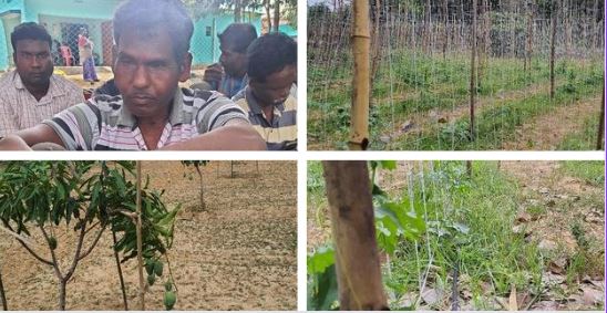 झारखंड : ग्रामीण करते हैं जंगल की पहरेदारी, नशा को कहा ना, कलेक्टिव व जैविक खेती पर जोर