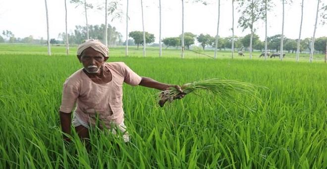 पश्चिम बंगाल को छोड़ सभी राज्यों में पीएम किसान योजना लागू : कैलाश चौधरी