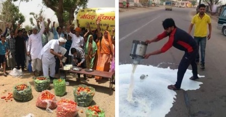 राजस्थान में आधे से भी कम हुआ दूध का कलेक्शन, सब्जियों की मची किल्लत