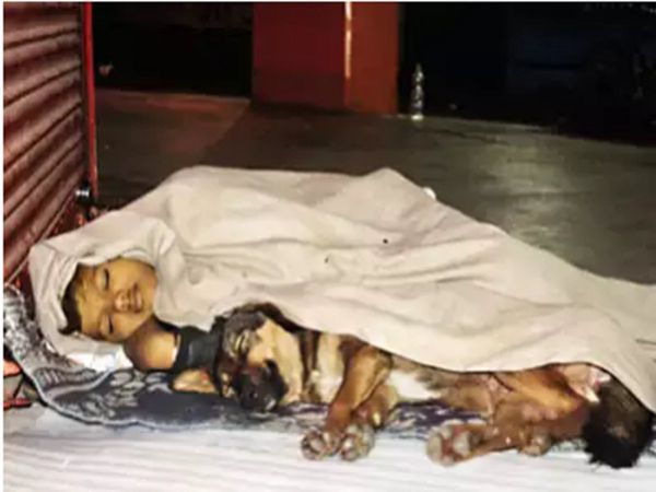 बाप जेल में मां ने छोड़ दिया, 9 साल का अंकित ठंड में फुटपाथ पर कुत्ते के साथ सोने को मजबूर