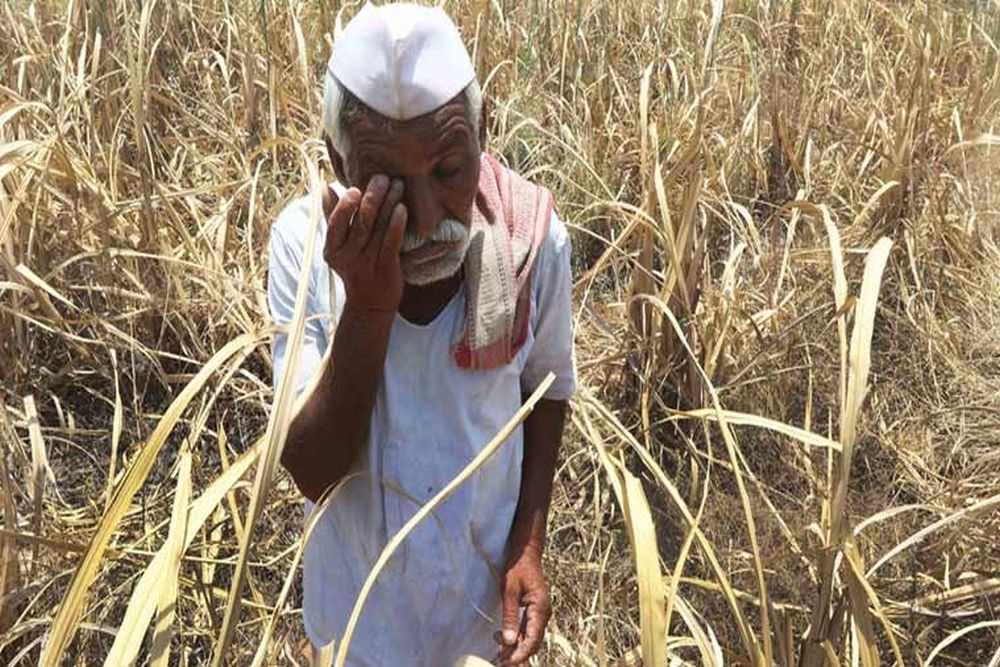 महाराष्ट्र: पिछले साल मराठवाड़ा में 1,023 किसानों ने की आत्महत्या, 2021 में 887 ने की थी खुदकुशी
