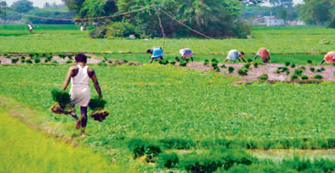 तीसरे कृषि रोडमैप से राज्य के किसानों को फायदा होगा : जदयू