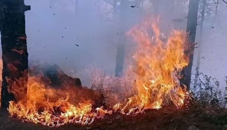 उत्तराखंड के जंगलों में लगी भीषण आग, सुप्रीम कोर्ट पहुंचा मामला