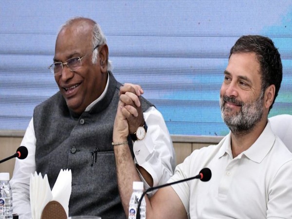 'राहुल गांधी लोकसभा में बनें नेता प्रतिपक्ष', कांग्रेस सीडब्ल्यूसी की बैठक में प्रस्ताव पारित