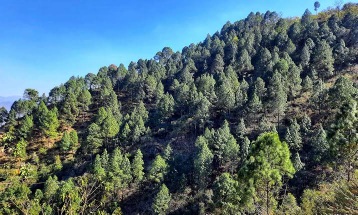 उत्तराखंड में वनारोपण की धनराशि आई फोन, लैपटॉप, फ्रिज, कूलर पर खर्च की गयी: कैग