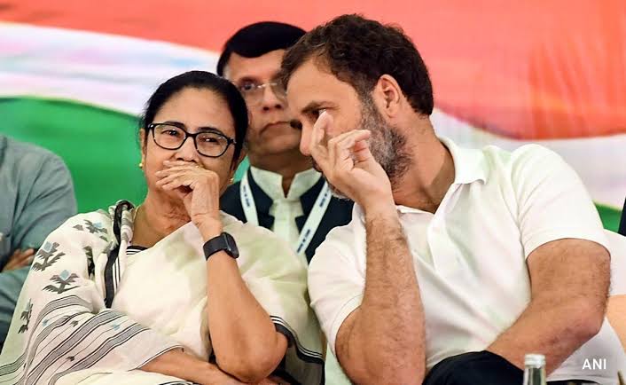 'ममता बनर्जी राहुल गांधी के नक्शेकदम पर चल रही हैं...इन्हें पसंद है देश को गाली देना': भाजपा