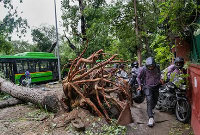 दिल्ली के नजफगढ़ में बड़ा हादसा, बारिश के कारण घर पर गिरा पेड़, तीन बच्चों समेत चार की मौत