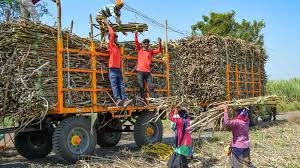 किसानों को नहीं मिल रही कर्जमाफी, वे मर रहे हैं कीड़ों की तरह: राजू शेट्टी ने महाराष्ट्र सरकार पर साधा निशाना