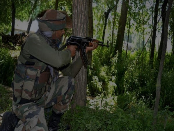 पाकिस्तान ने एलओसी पर लगातार 12वीं रात तोड़ा सीजफायर, भारत ने दिया करारा जवाब
