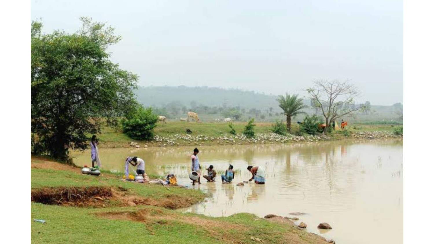 “अतिक्रमण में दबते तालाब : शहरीकरण की बेरहम कहानी”