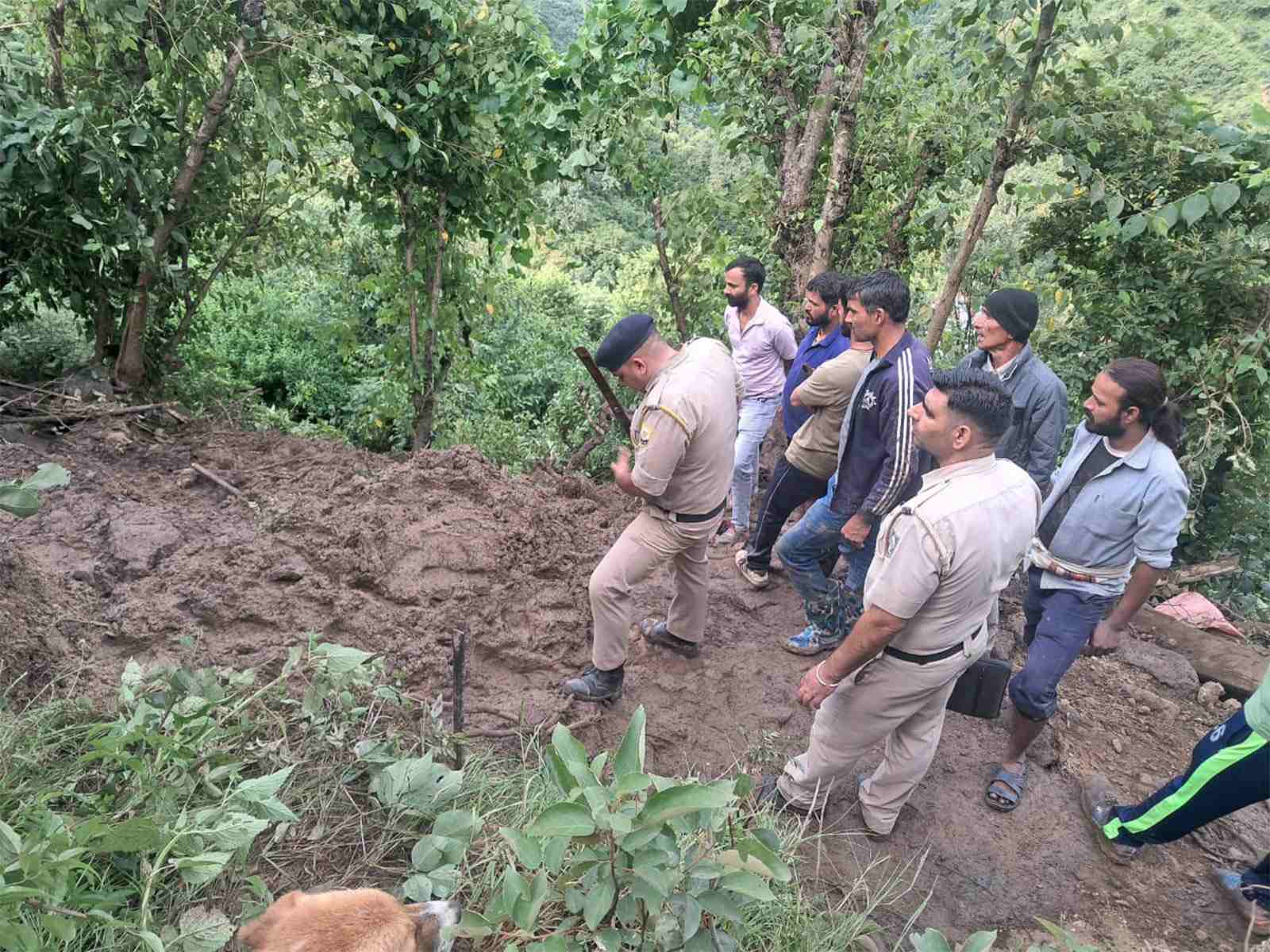हिमाचल प्रदेश: भारी बारिश के बाद मंडी के निहरी इलाके में 3 की मौत, 2 को बचाया गया