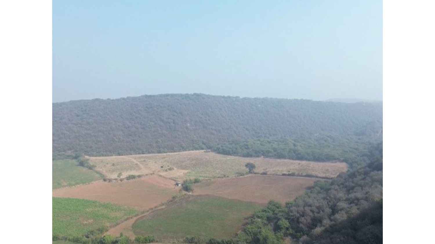 पर्यावरण मंत्री भूपेंद्र यादव ने  केंद्र की अरावली को सुरक्षित रखने की प्रतिबद्ध जाहिर की,कांग्रेस ने लगाया पारिस्थितिकी तंत्र नष्ट करने का आरोप