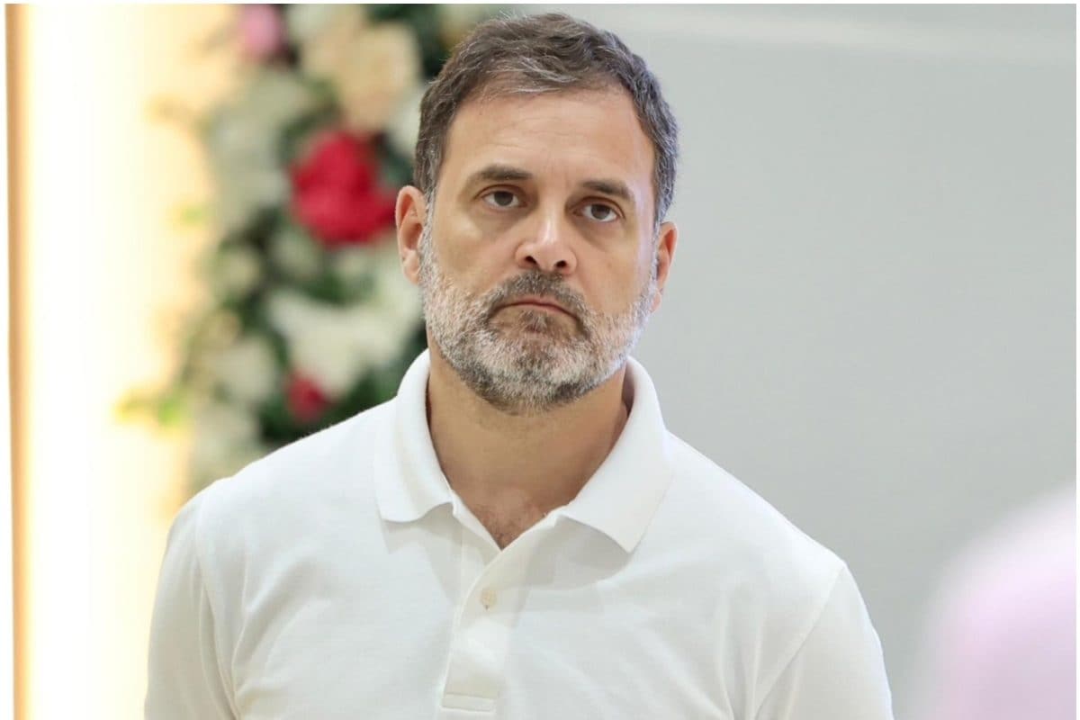 'मुझे अपने बब्बर शेरों पर गर्व है', युवा कांग्रेस के अध्यक्ष की गिरफ्तारी के बाद राहुल गांधी का बयान