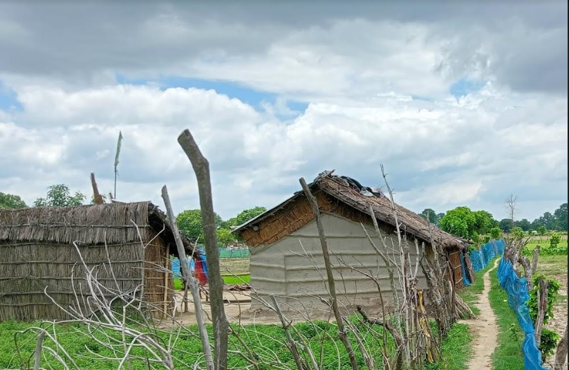 भारतीय जनतंत्र और विकास की मुख्यधारा में 'वन टांगिया' समुदाय