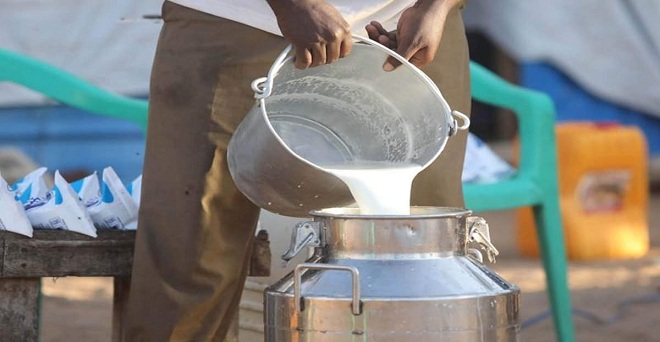 कोरोना का असर - किसान 25 फीसदी नीचे दाम पर दूध बेचने को मजबूर, महाराष्ट्र सरकार खरीद जारी रखेगी