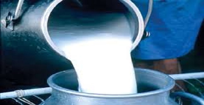 लॉकडाउन के दौरान एचपी मिल्कफेड की दूध खरीद 66 फीसदी बढ़ी