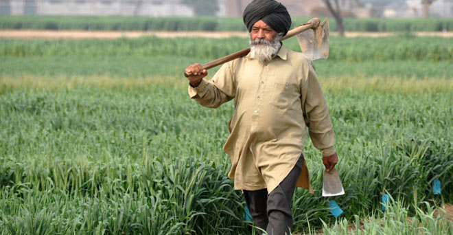 पंजाब में किसान ऋण माफी के दूसरे चरण में 600 करोड़ का आवंटन