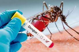 दिल्ली में एक बार फिर बढ़ा डेंगू का खतरा; एक हफ्ते में 400 से ज्यादा नए मामले, इस साल बढ़कर हुए 937 केस