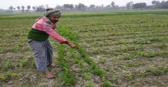 बिहार सरकार ने बारिश और ओलावृष्टि प्रभावित किसानों के लिए 518 करोड़ मंजूर किए