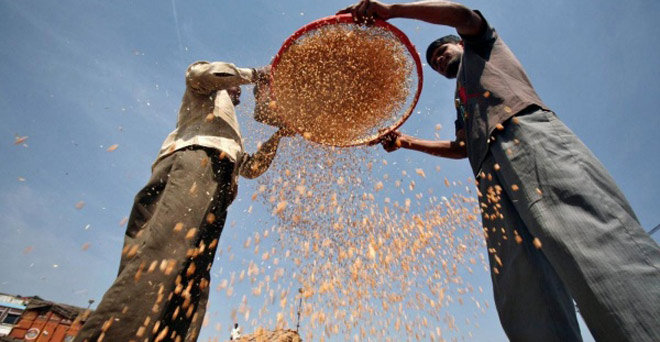 भारत में खाद्य सुरक्षा मुद्दे की अनदेखी की गई : संसदीय समिति