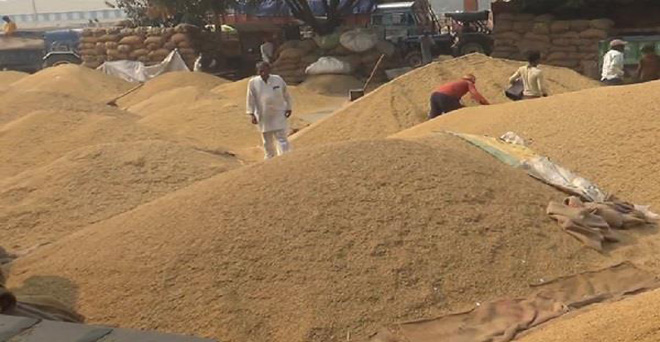 खरीफ में समर्थन मूल्य पर 416 लाख टन चावल खरीद का लक्ष्य, पिछले साल से 12.50 फीसदी ज्यादा