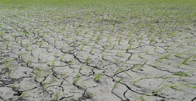 देश भर में अभी मानसूनी बारिश सामान्य से 35 फीसदी कम, किसानों की चिंता बढ़ी