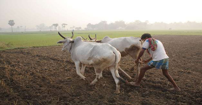 मध्य प्रदेश में किसान पर कर्ज 23,815 रुपये का, माफ हुए 13 रुपये