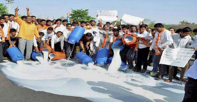 किसान आंदोलन से बढ़ सकती है दूध की किल्लत, 19 जुलाई से राज्य में करेंगे चक्का जाम-राजू शेट्टी