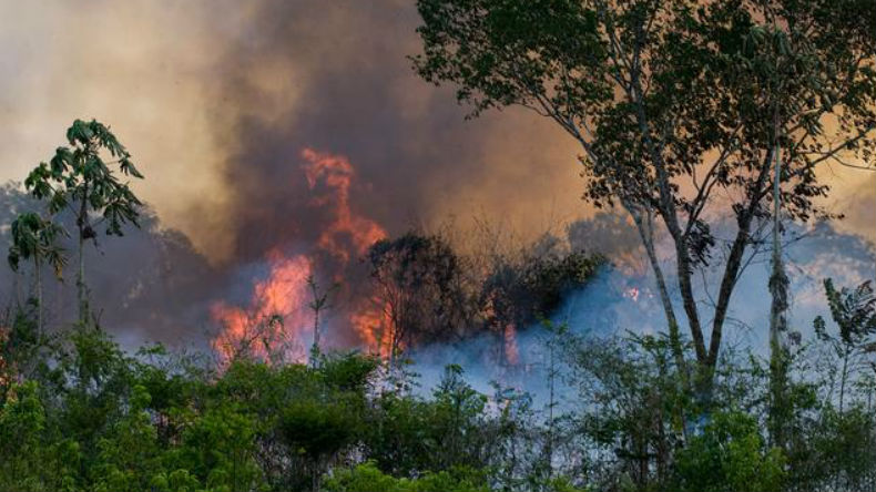 'धरती के फेफड़ों' में लगी आग क्यों है पूरी दुनिया के लिए चिंता का विषय