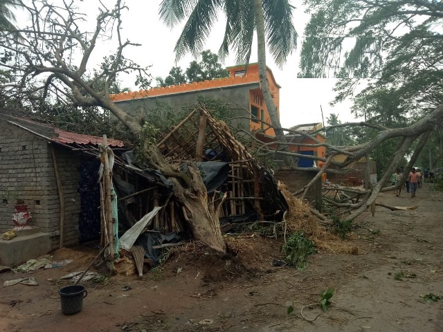 शुक्रवार को चक्रवाती तूफान ‘फैनी’ की चपेट में आने से ओडिशा के बलरामपुर गांव में घरों पर गिरे पेड़