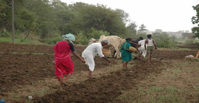 गुजरात, उत्तर प्रदेश, झारखंड में मानसूनी बारिश कम, किसानों की चिंता बढ़ी