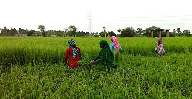 किसानों की आय बढ़ाने के लिए राज्यों का सहयोग लेगी सरकार